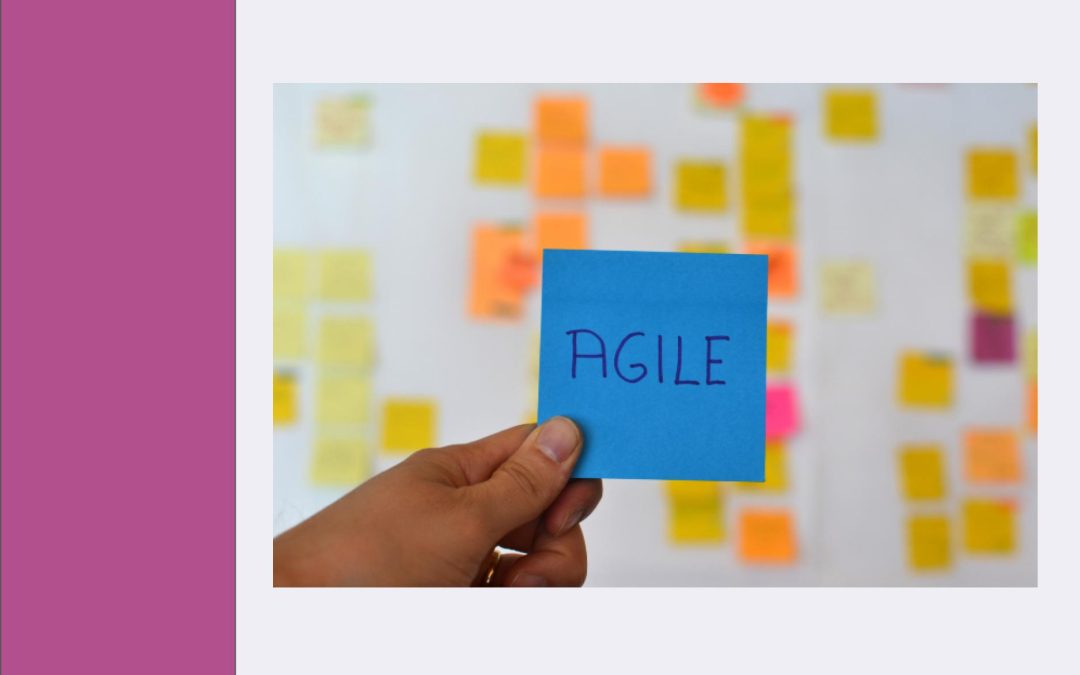 Mapa Color Manifiesto Agile