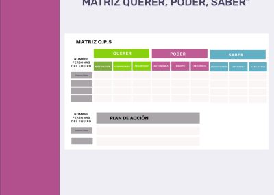 Matriz Querer, Poder, Saber