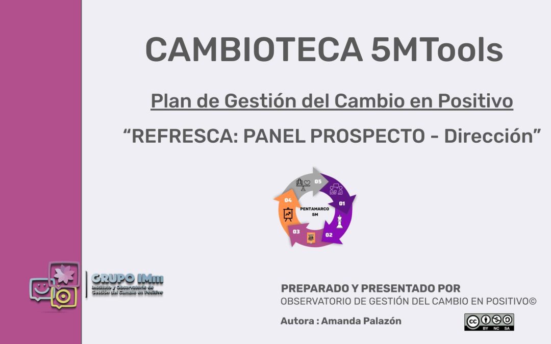 Panel Prospecto Dirección